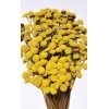 FLORAL BUTTONS Yellow 18" (BULK)-OUT OF STOCK